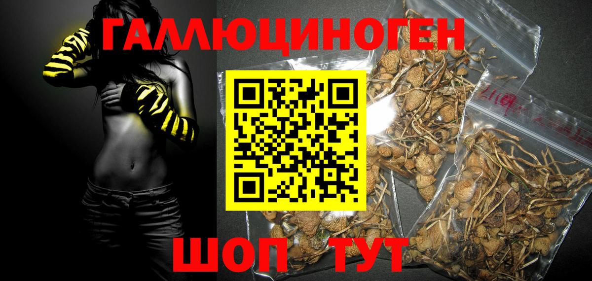 Псилоцибиновые грибы GOLDEN TEACHER Владимир
