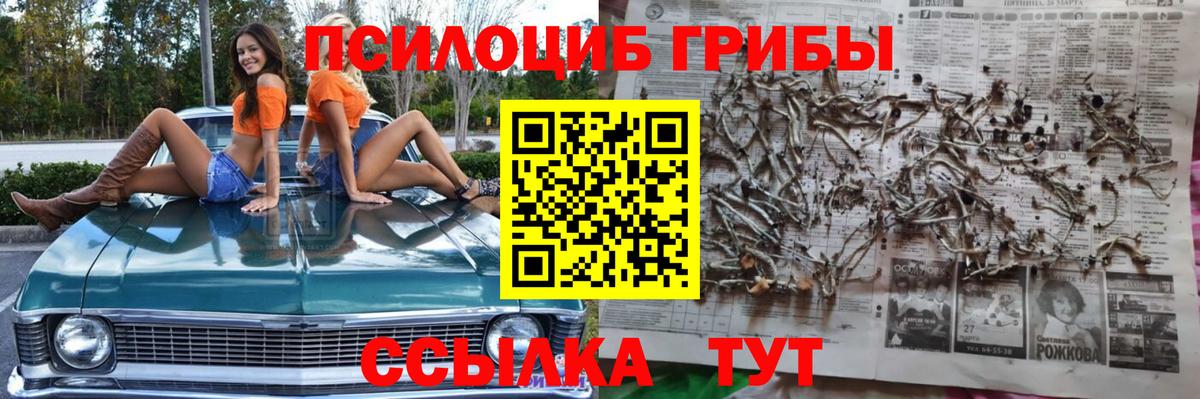 Владимир  Псилоцибиновые грибы Psilocybe  Вход с VPN  наркошоп  Галлюциногенные грибы GOLDEN TEACHER 